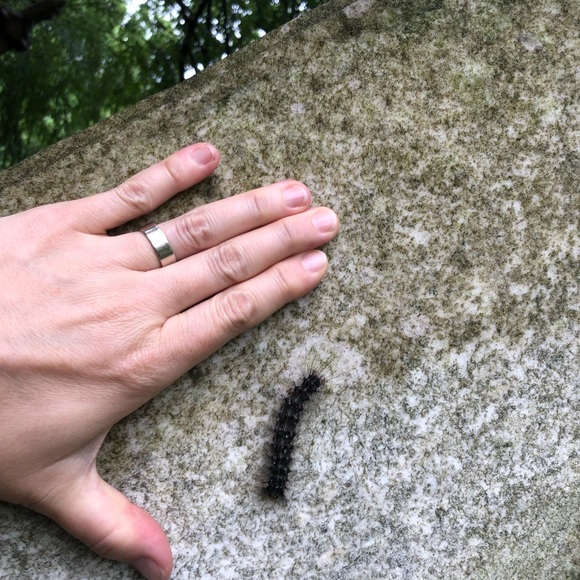 Meet your Posher, Sara - Picture 12 of 16